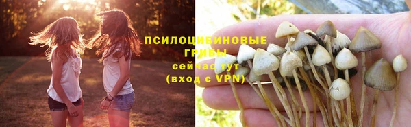 гидра Балахна