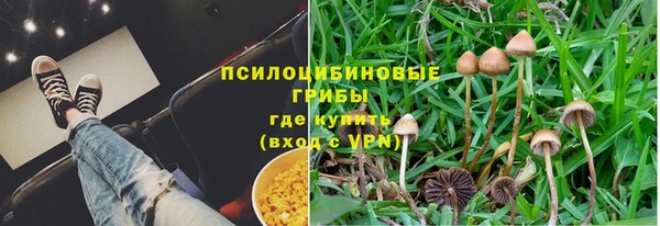 гидра Балахна