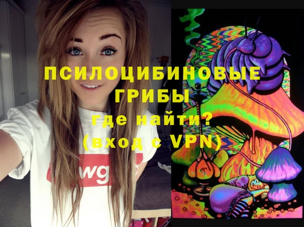 гидра Балахна