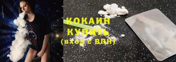 PSILOCYBIN Белокуриха